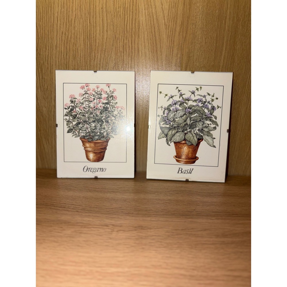 Vintage Herb Botanical Wall Art Set Oregano Basil Glass Clip Frames 5x7